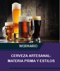 Webinario cerveza artesanal